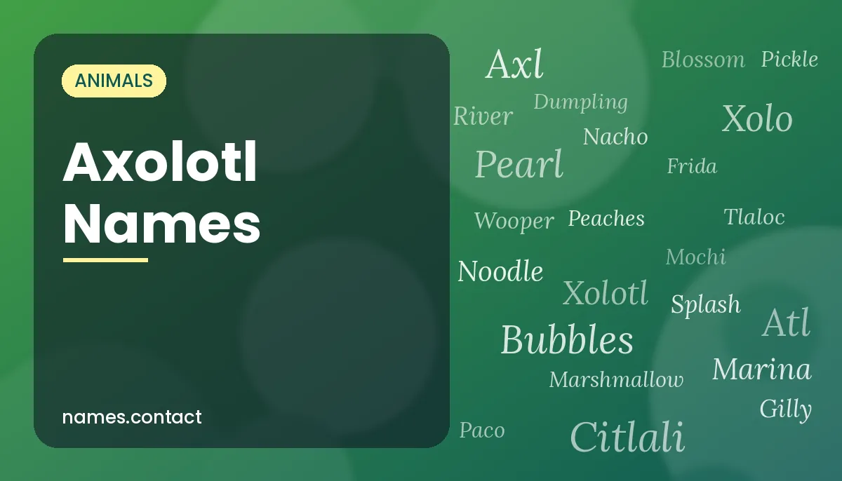 Axolotl Names