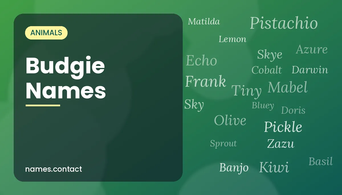 Budgie Names
