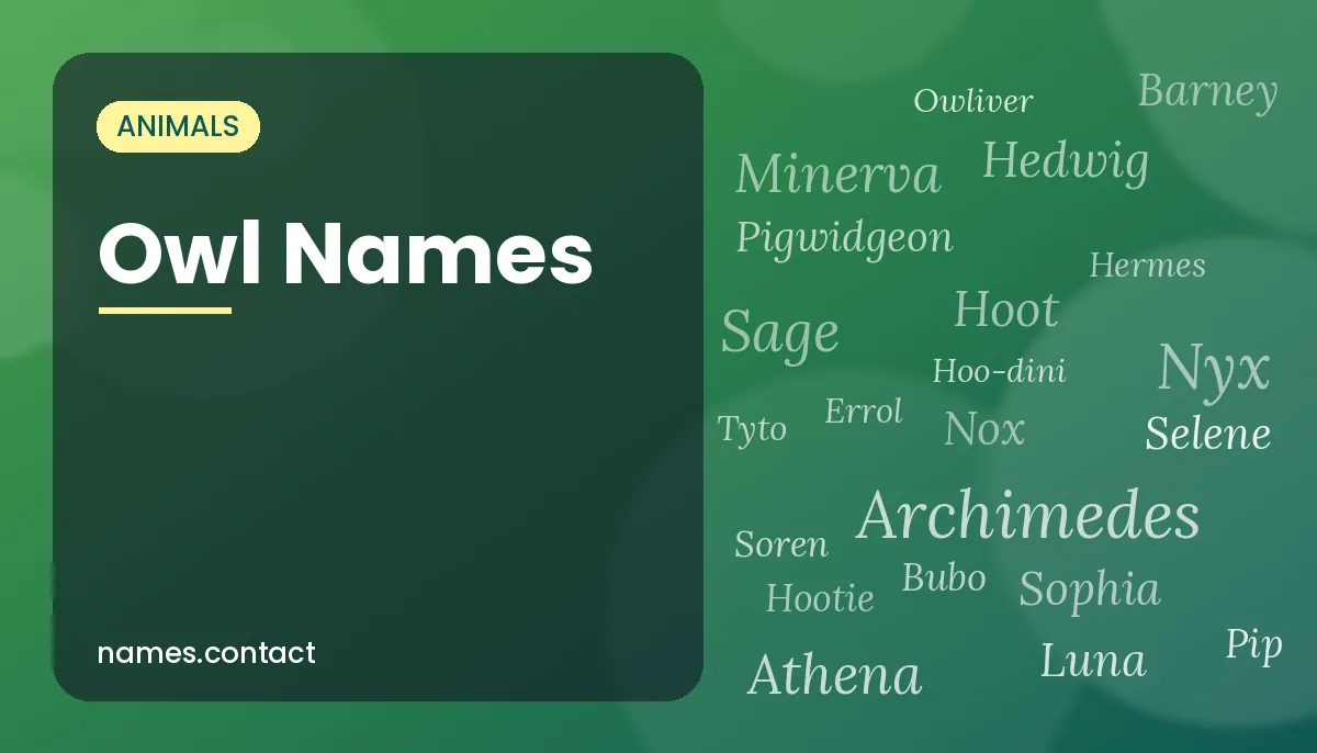 Owl Names