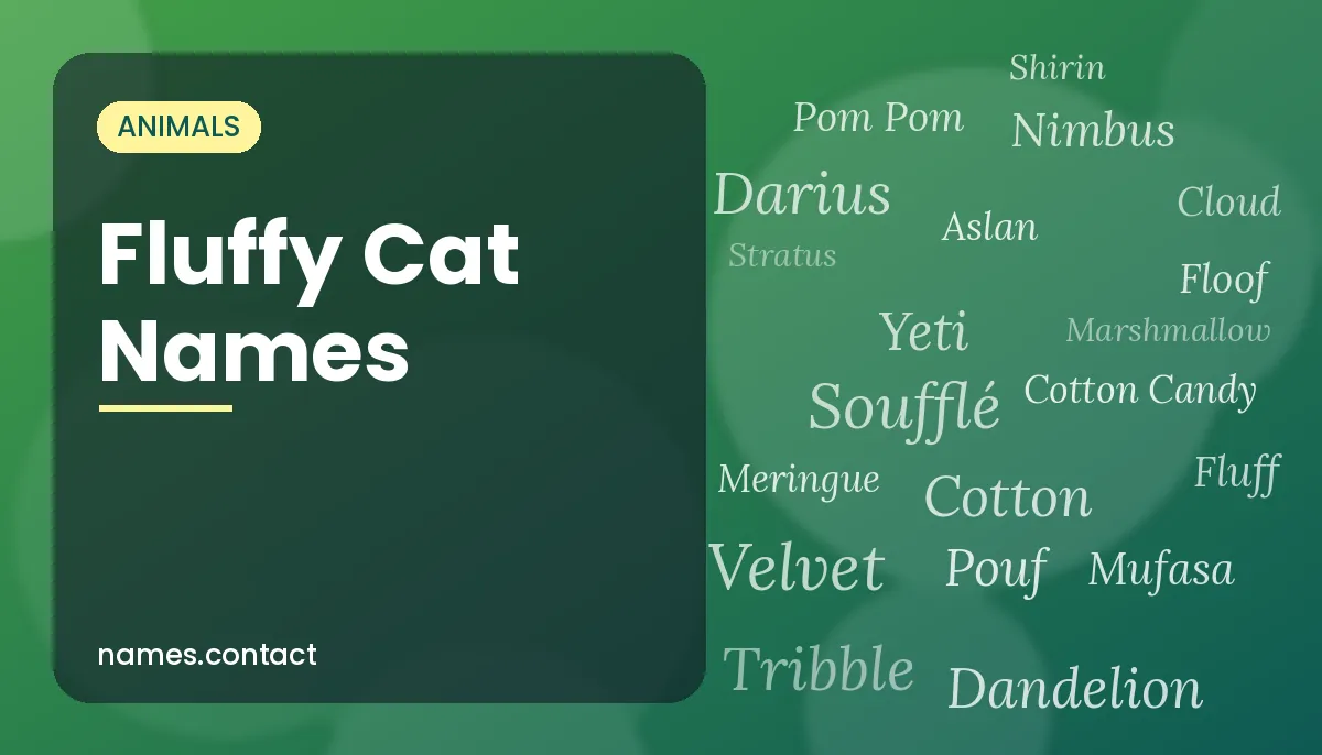 Fluffy Cat Names
