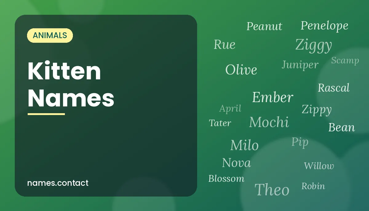 Kitten Names