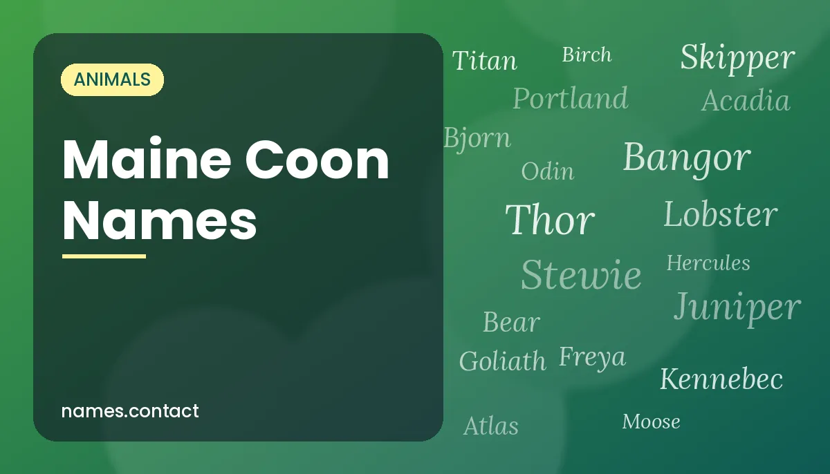 Maine Coon Names