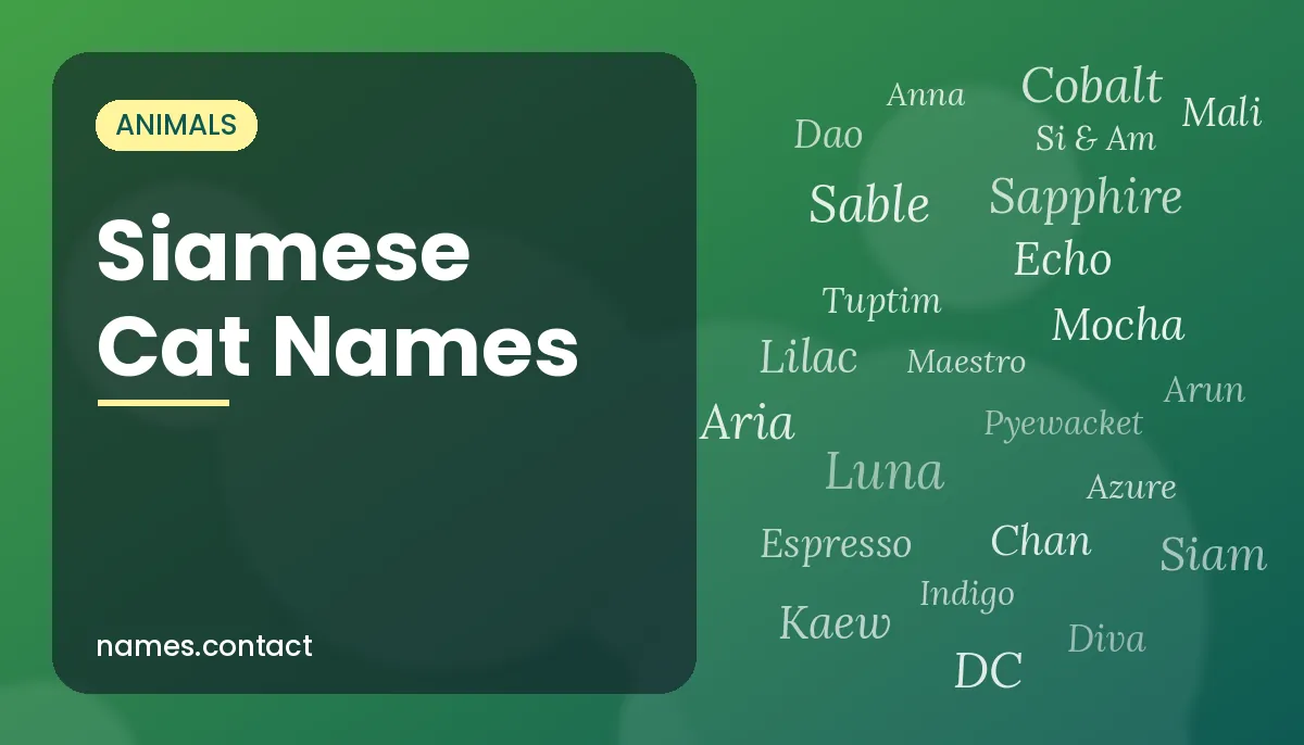 Siamese Cat Names