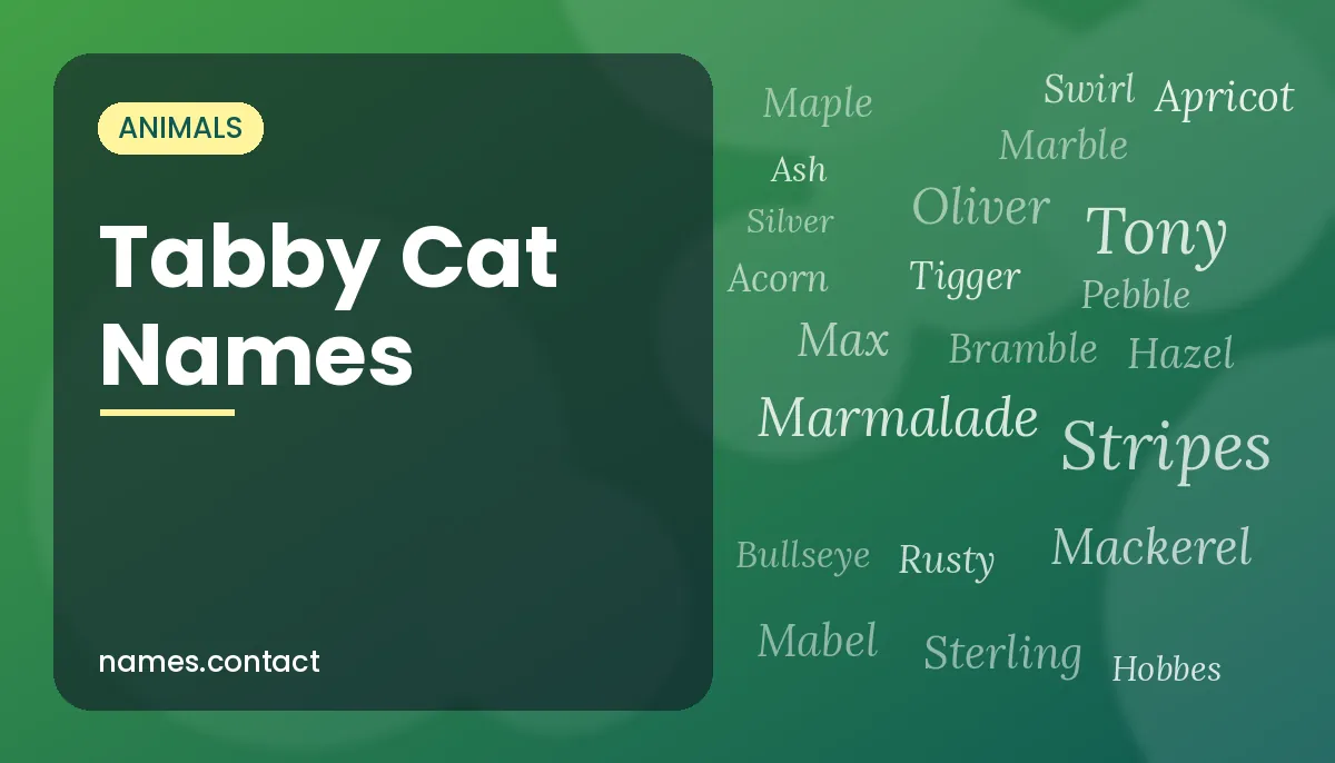 Tabby Cat Names