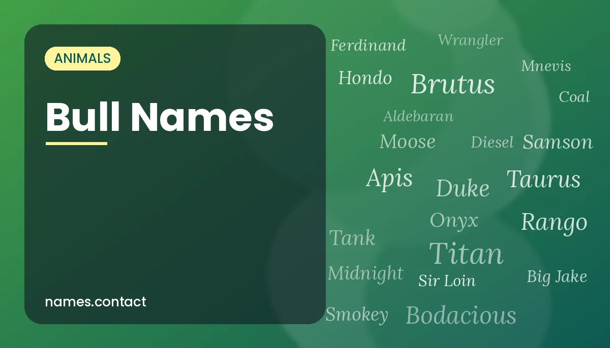 Bull Names