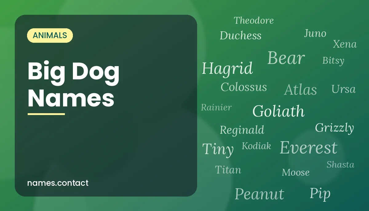 Big Dog Names