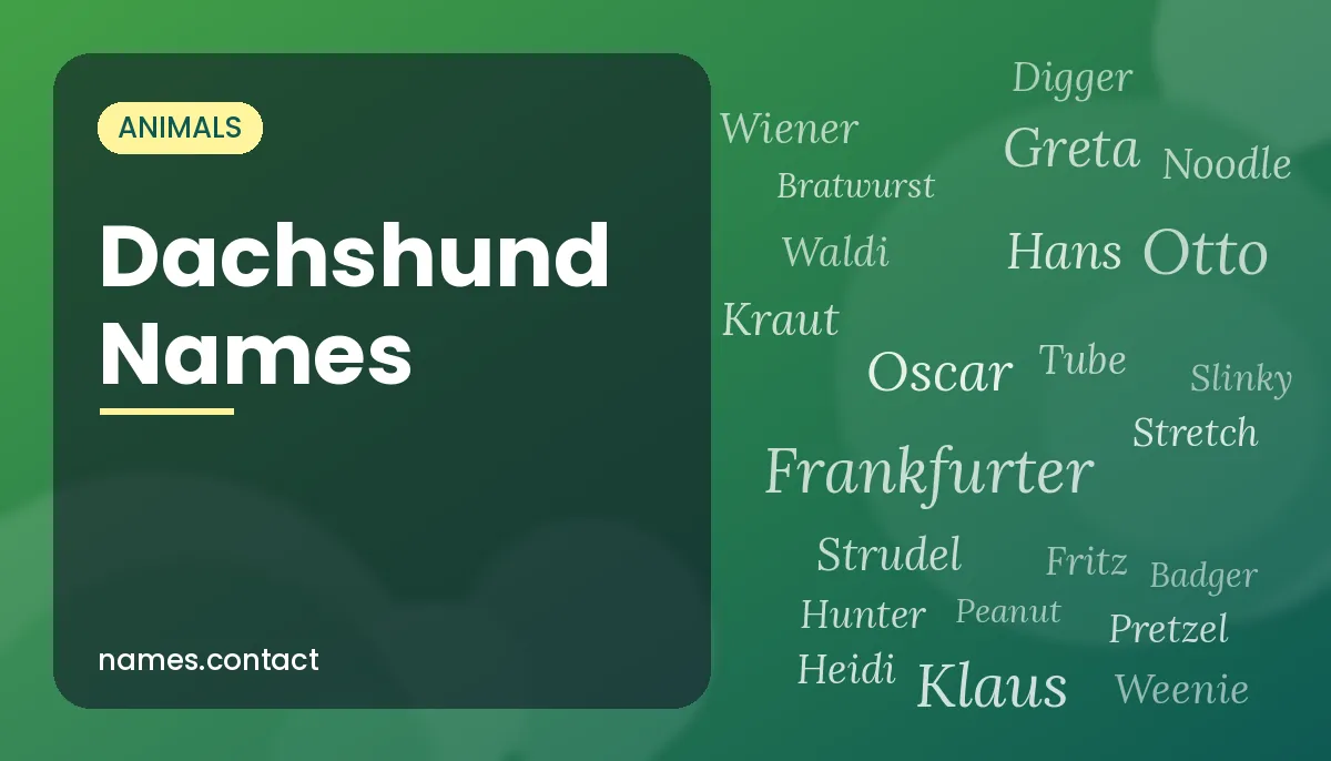 Dachshund Names
