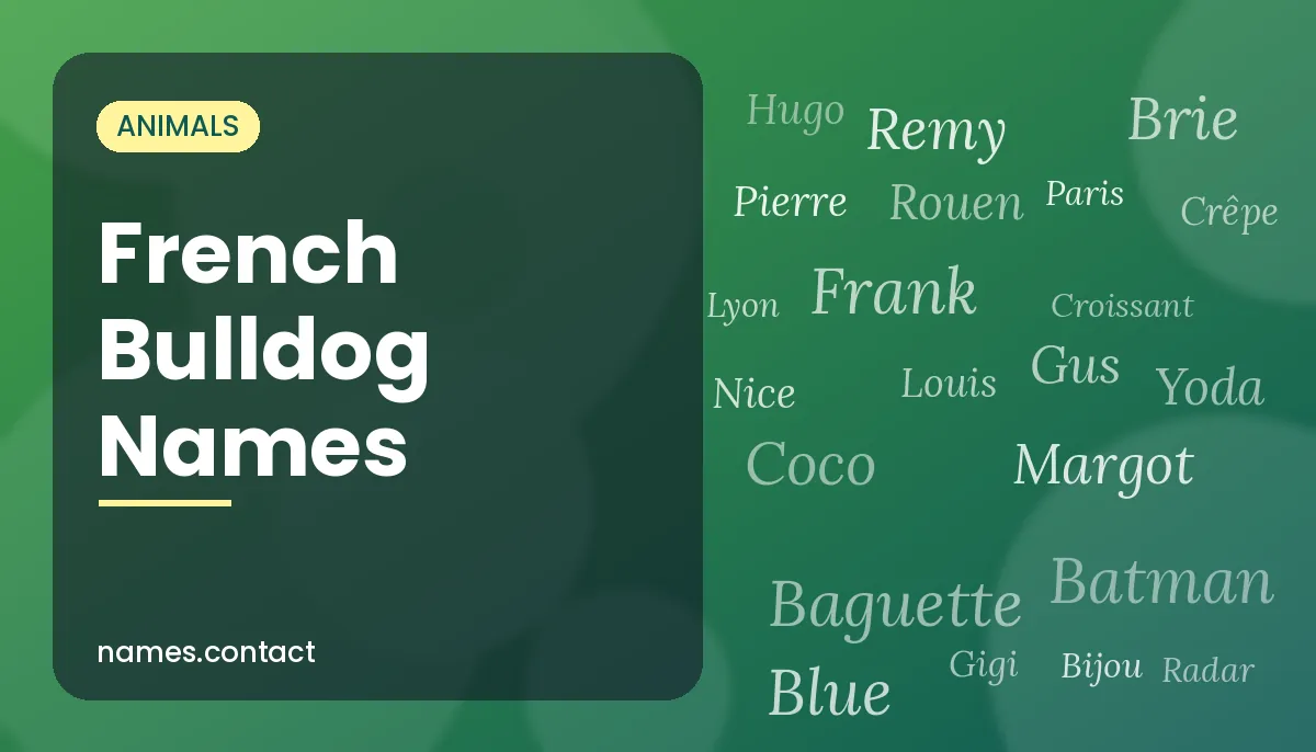 French Bulldog Names