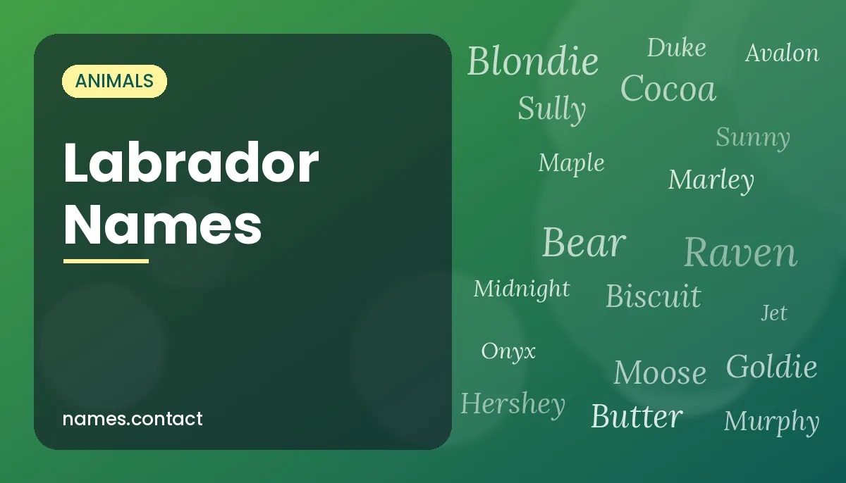 Labrador Names