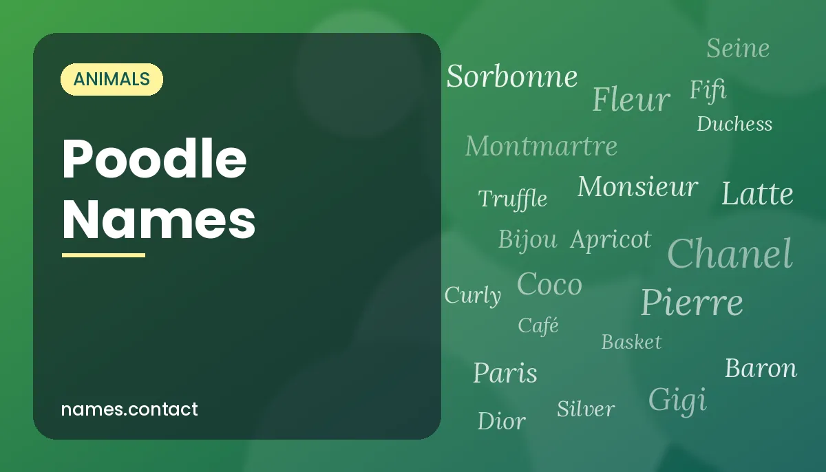 Poodle Names