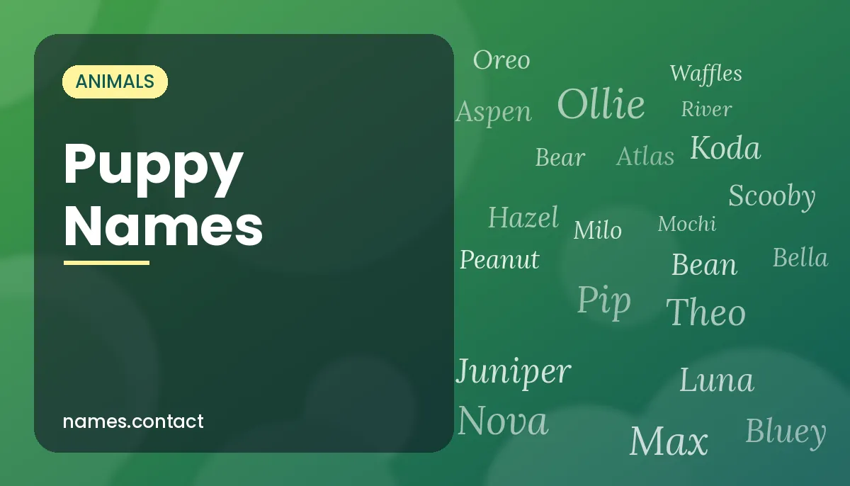 Puppy Names