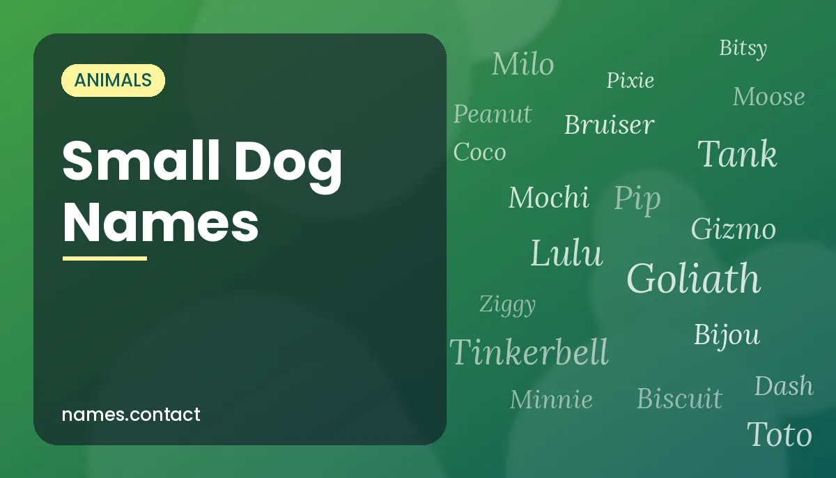 Small Dog Names