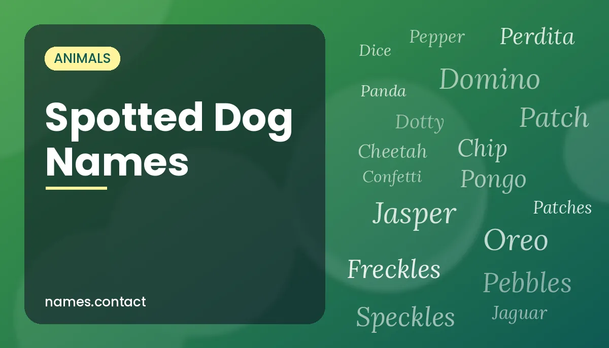 Spotted Dog Names