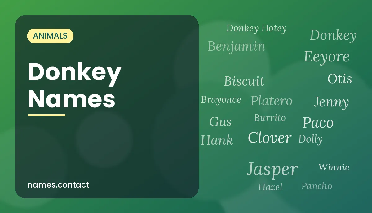 Donkey Names