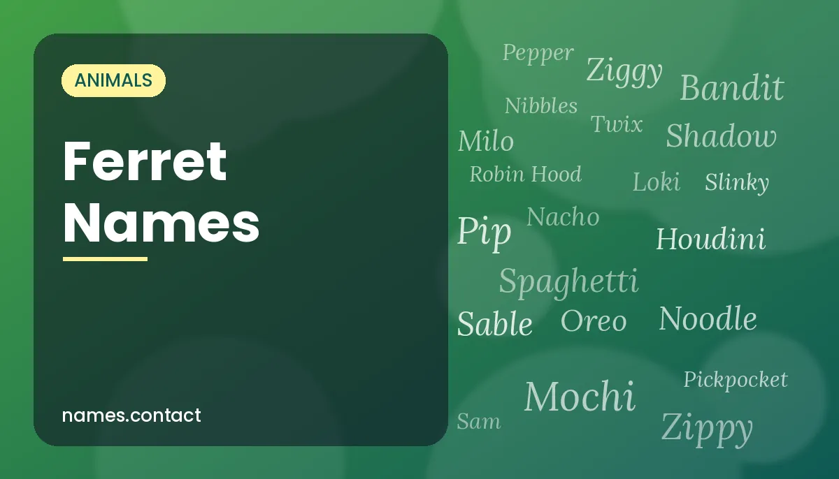 Ferret Names