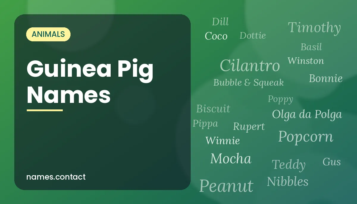 Guinea Pig Names