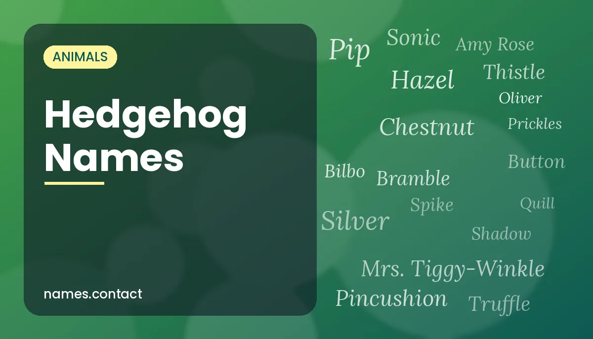 Hedgehog Names