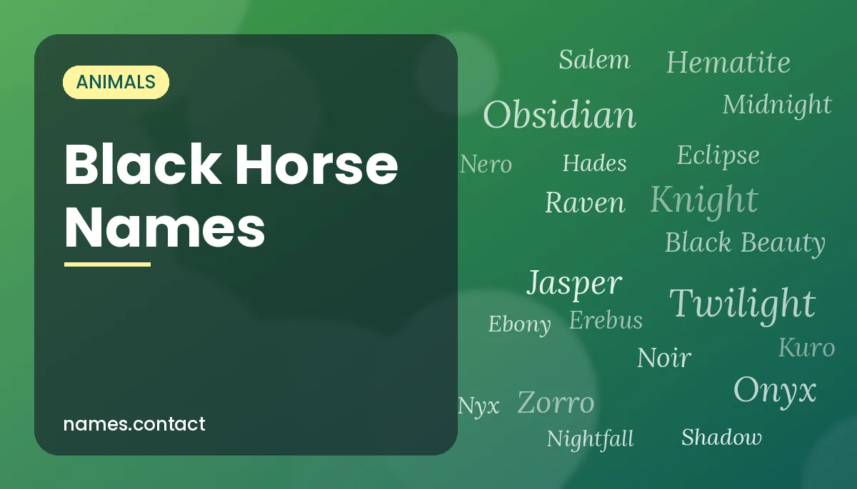 Black Horse Names
