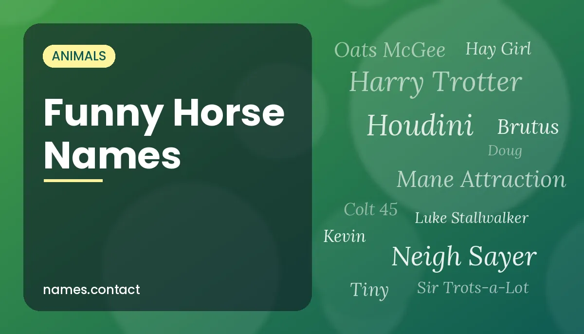 Funny Horse Names