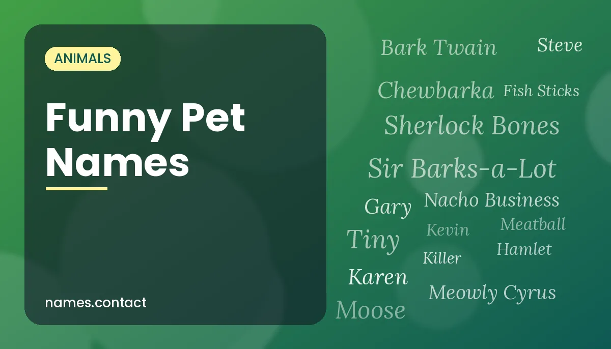 Funny Pet Names