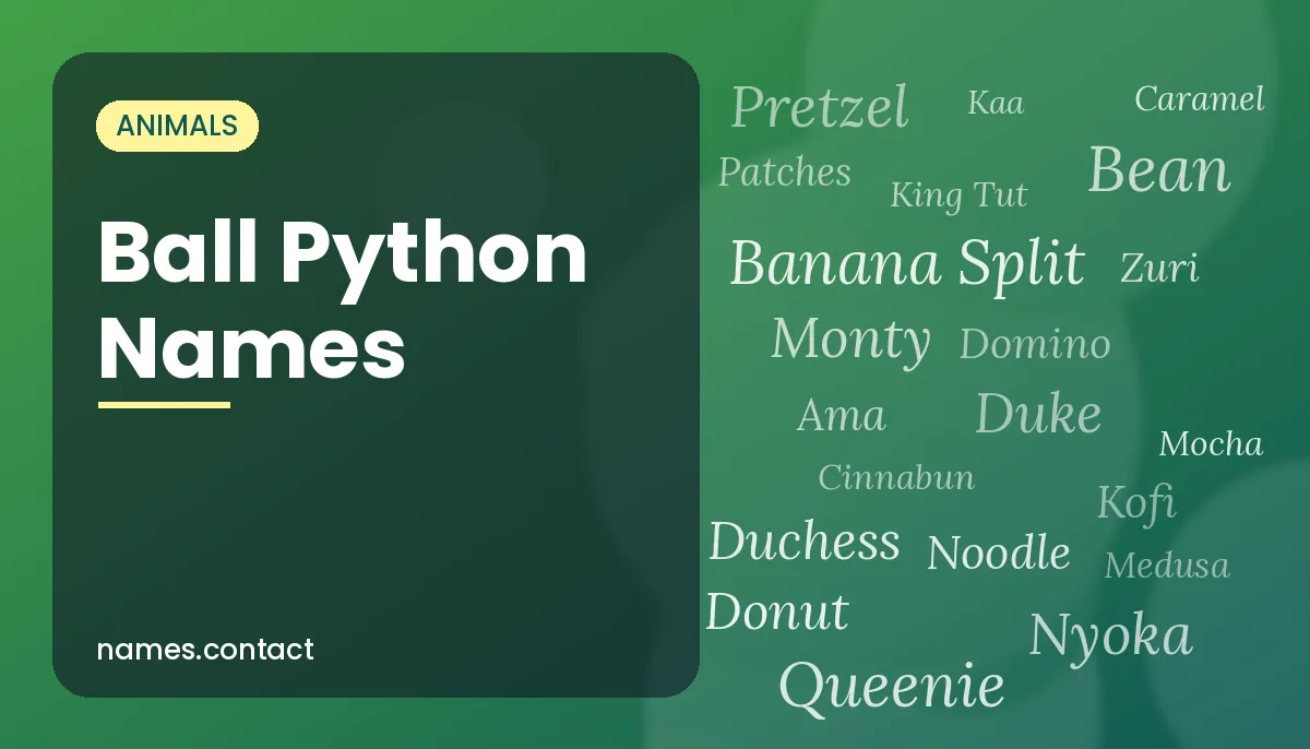 Ball Python Names