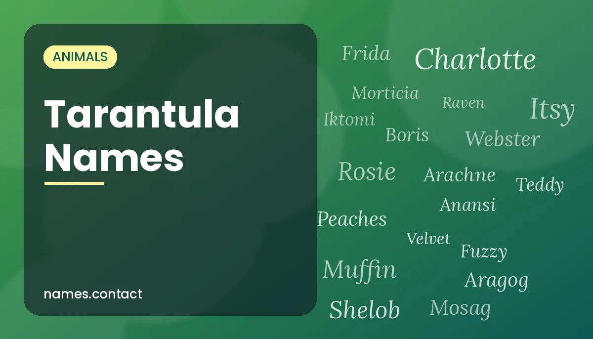 Tarantula Names