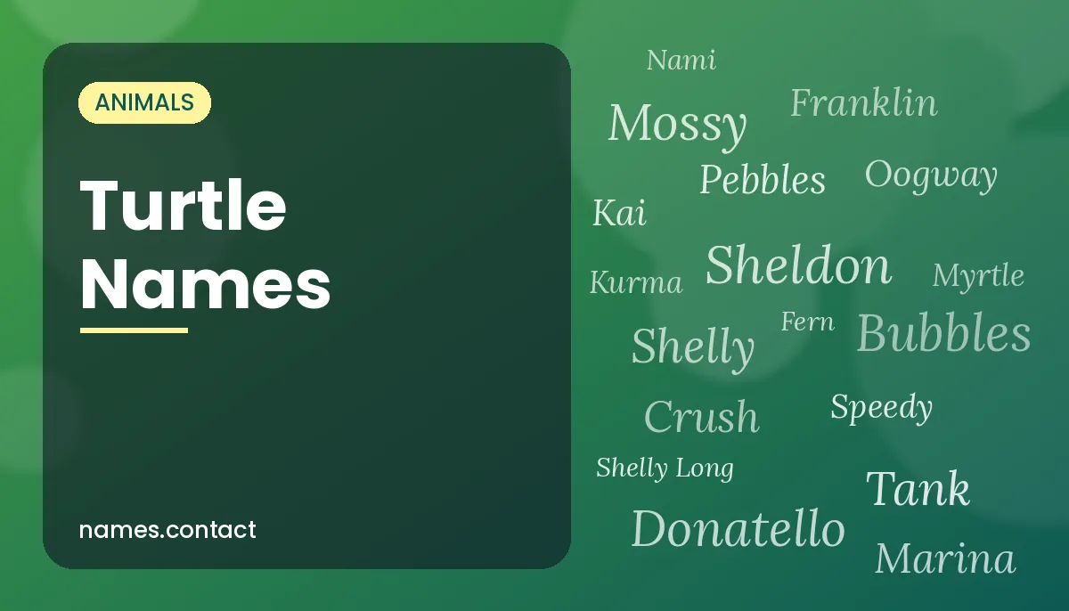 Turtle Names
